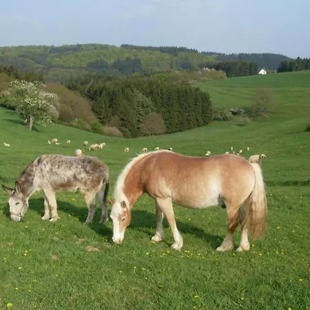 Daire Wunderschoene Im Burgenland, Cleaning Included Manderscheid