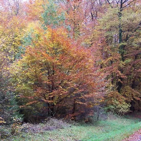 Wunderschoene Im Burgenland, Cleaning Included Daire *